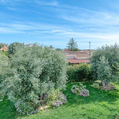 La Casa Degli Ulivi Appartamento In Villa Con Patio Quartu SantʼElena Extérieur photo